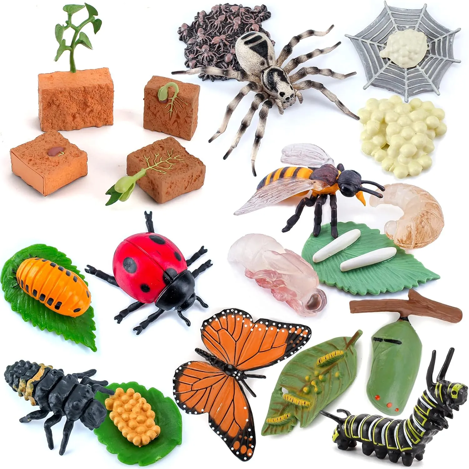 Supplies Cognitive Toy for Boys Girls sift Kids 20 PCS Insect Animal Life Cycle Model Figure Plant Spider Bee Butterfly Figurines Ornament Cake Toppers Party Favors 