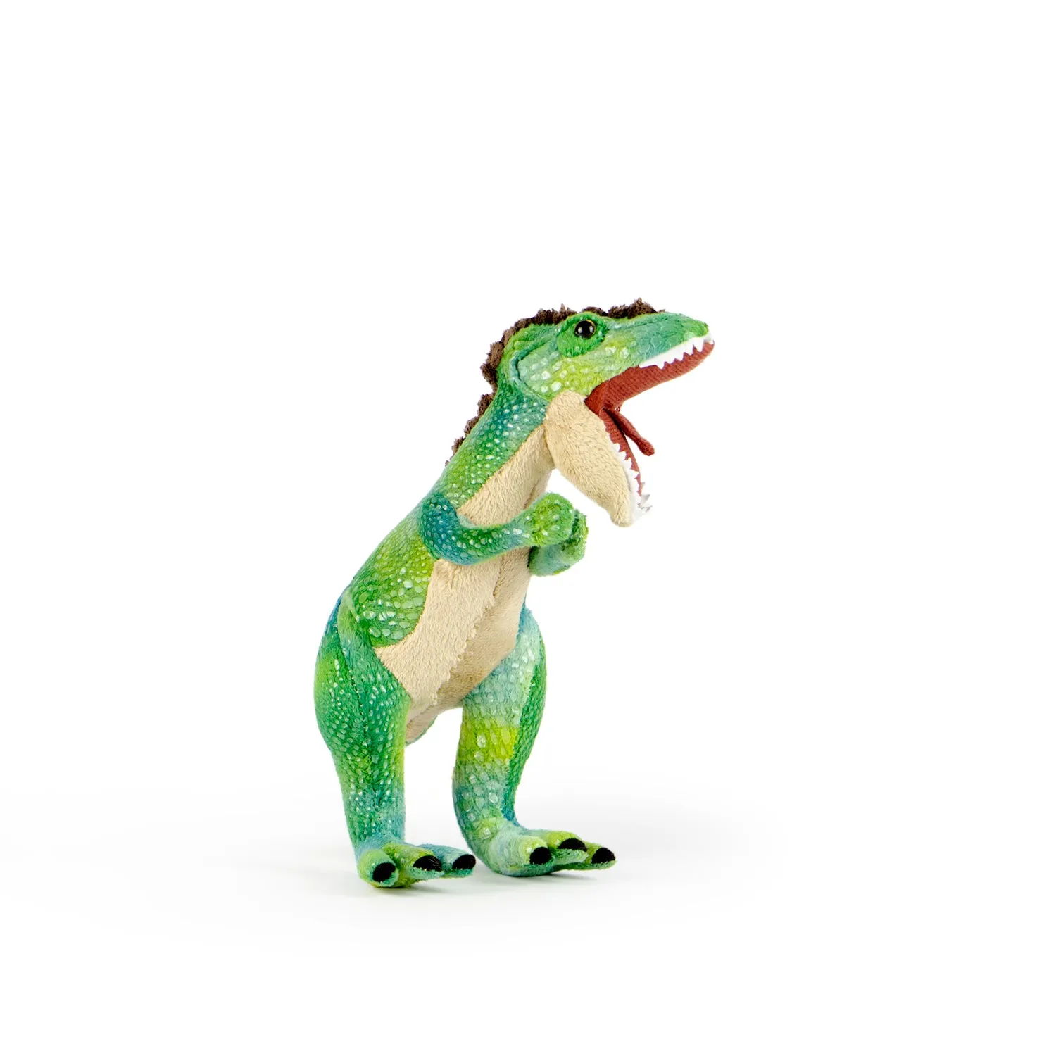 Tyrannosaurus Rex