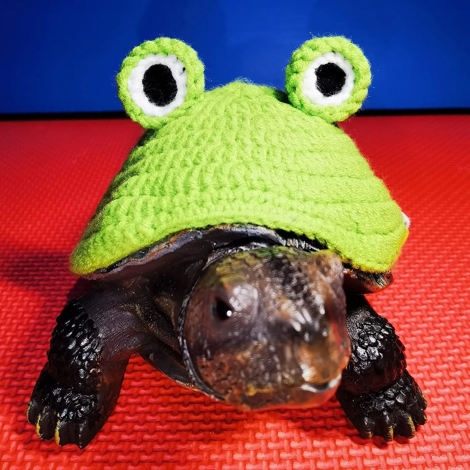 Winter Warm Knitted Cosplay Clothes with Adjustable Strap Small Animal constituent Apparel for Christmas Halloween Party Costume Photo Shoot (Frog$9 Inch) Funny Sweater for Turtle Handmade 