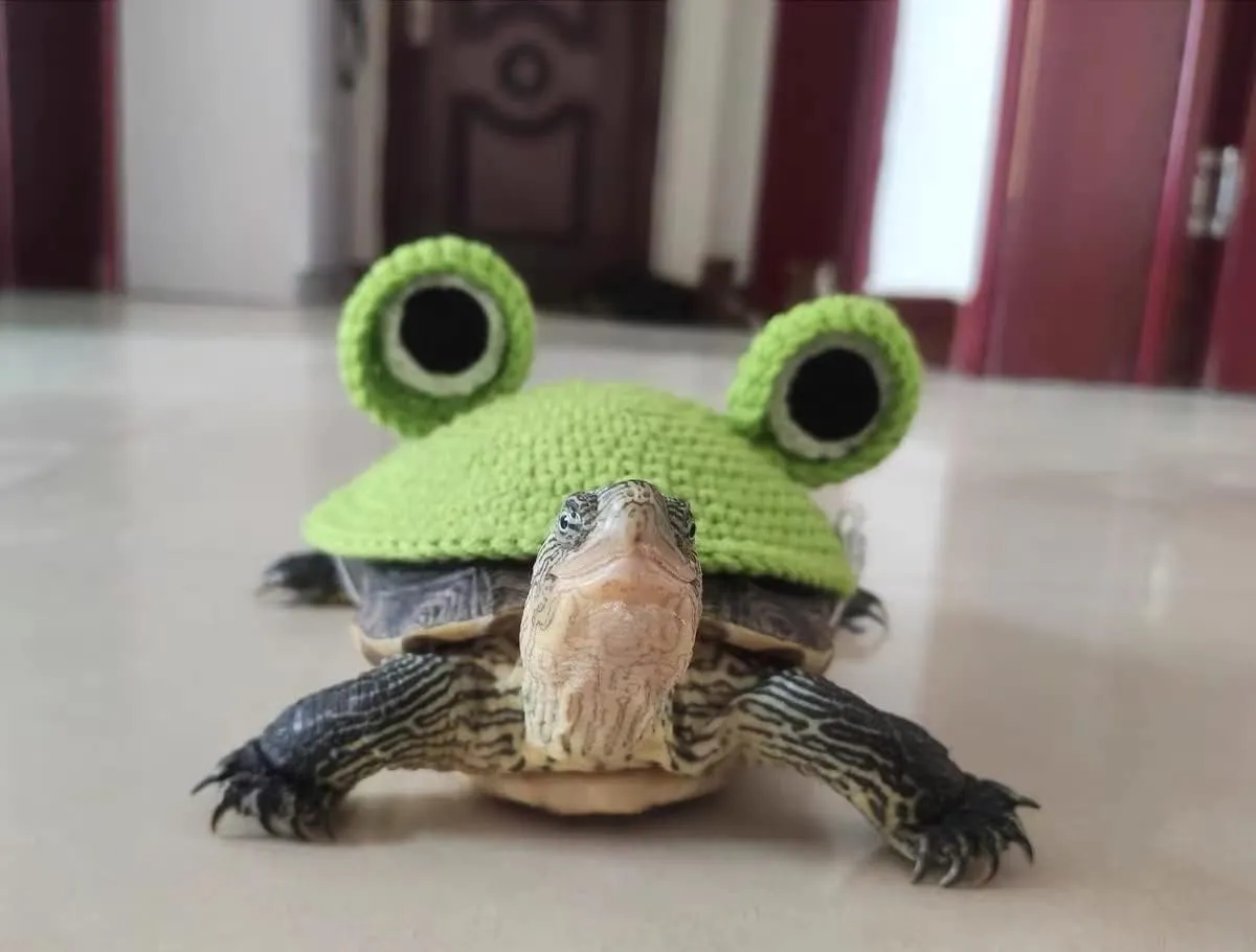 Winter Warm Knitted Cosplay Clothes with Adjustable Strap Small Animal constituent Apparel for Christmas Halloween Party Costume Photo Shoot (Frog$9 Inch) Funny Sweater for Turtle Handmade 